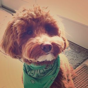 Meet your Posher, Jenna